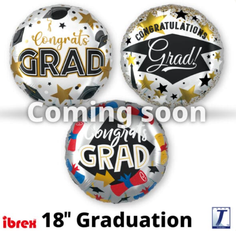 Screenshot 2024-12-03 235630