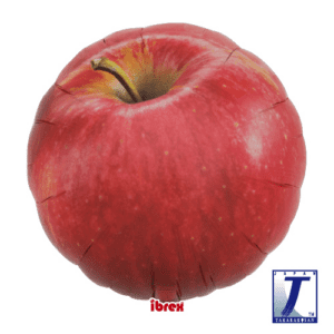 p32_0201213106-300x300