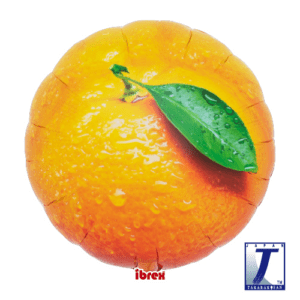 p32_0201213107_1-300x300