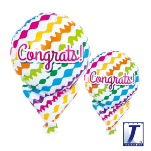 p48_0201810510-300x300