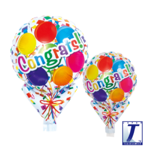 p48_0201810511-300x300