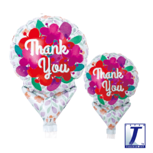 p48_0201810527-300x300