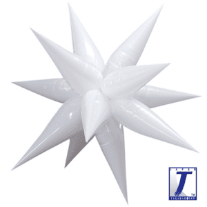 p67_0201910031-300x300