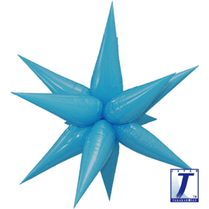 p67_0201910034-300x300